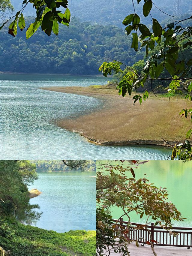 廈門天竺山徒步!闖進綠野仙蹤畫卷 廈門天竺山徒步!闖進綠野仙蹤畫卷