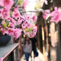 The Pure Magic of Taikang Road, Shanghai ✨🌿