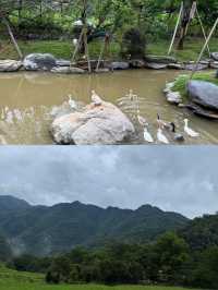 瀏陽五號山谷避坑&種草全攻略！住對房才是真·嚮往的生活