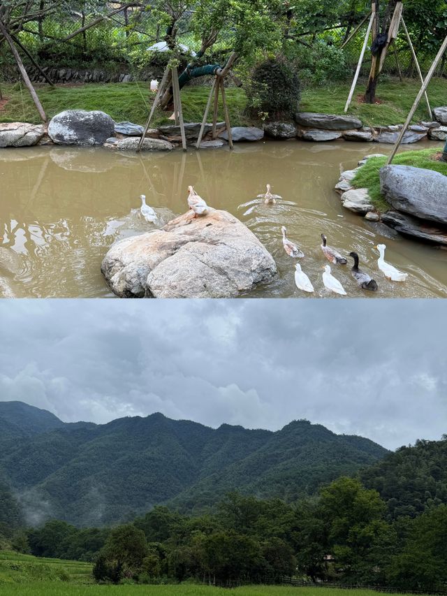 瀏陽五號山谷避坑&種草全攻略！住對房才是真·嚮往的生活