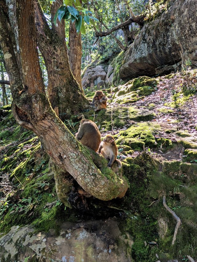 雲南劍川石寶山仙俠感十足的千年古剎