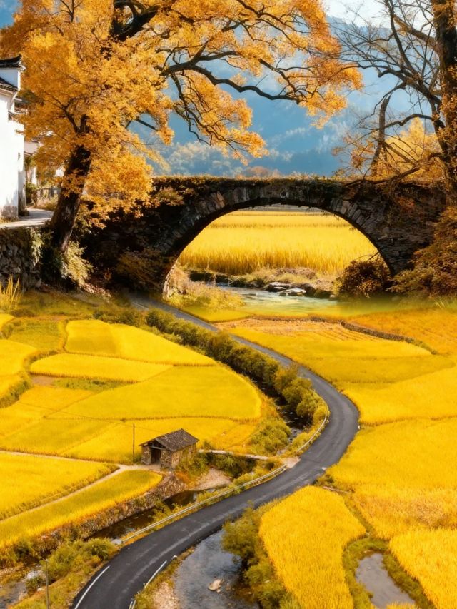 婺源三日漫遊記｜古村曬秋，梯田紅楓，小眾秘境