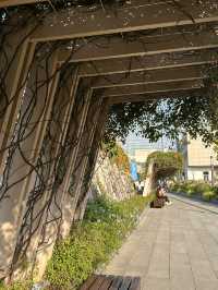 🌿 蓮花山公園 × 深業上城 × 筆架山｜搭捷運就能抵達的城市綠洲