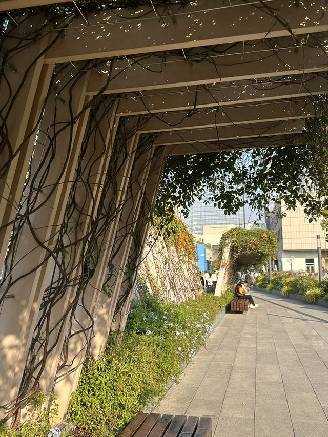 🌿 蓮花山公園 × 深業上城 × 筆架山｜搭捷運就能抵達的城市綠洲