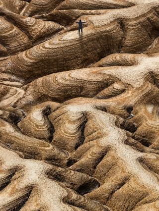 Hidden Wonder of Xinjiang: Baicheng's Tree of the Earth Aerial Photography Guide—a visual feast that’s taking social media by storm!