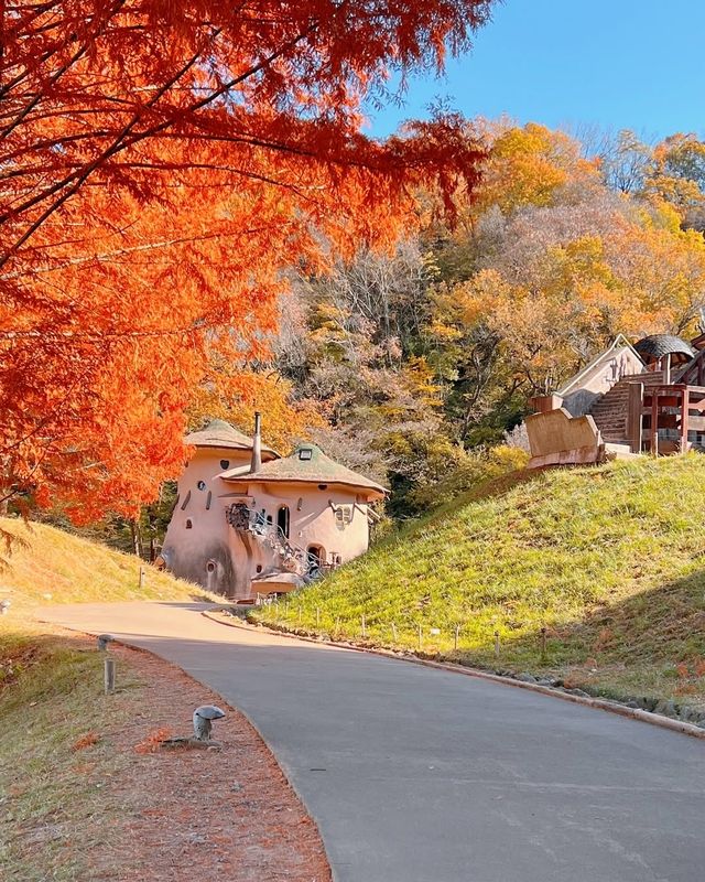 埼玉的北歐秋天！超夢幻姆明主題森林公園