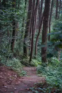國慶反向遊|剛開放的小眾親子徒步路線