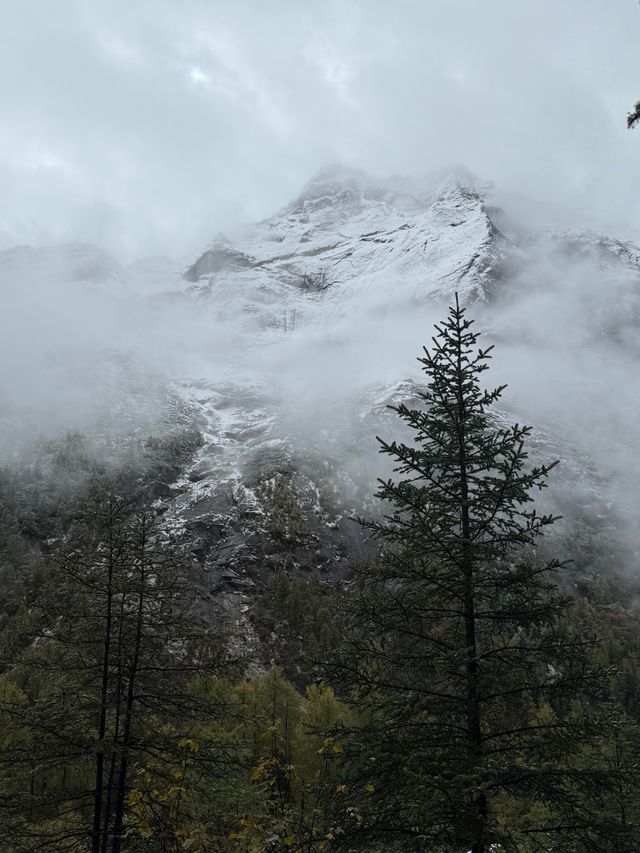 四姑娘山驚艷秋色