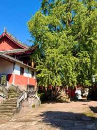 成都1h |初秋徒步雲頂山脊探索山野秘境！