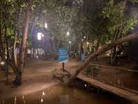 🌅 納克潘海灘 Nacpan Beach|白天天堂、夜晚仙境的雙重魅力