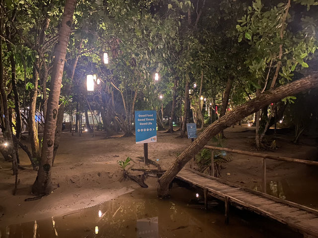 🌅 納克潘海灘 Nacpan Beach|白天天堂、夜晚仙境的雙重魅力 🌅 納克潘海灘 Nacpan Beach|白天天堂、夜晚仙境的雙重魅力