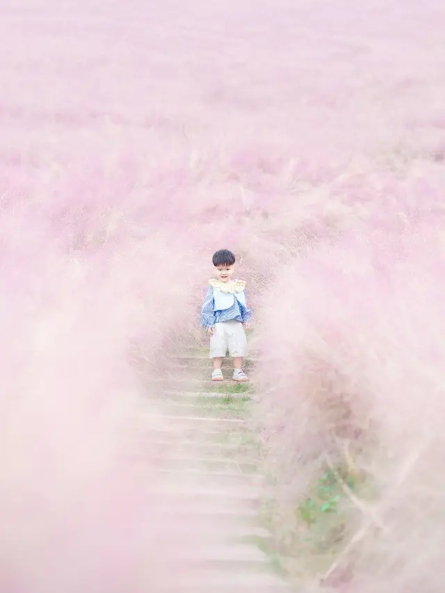 The pink muhly grass at Manhua Manor is so dreamy