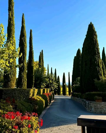 托斯卡納浪漫指南意大利最迷人的田園風光打卡地 托斯卡納浪漫指南意大利最迷人的田園風光打卡地