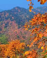 稷山酒店賓館是每位到稷山旅遊或出差的朋友都不容錯過的優質住宿