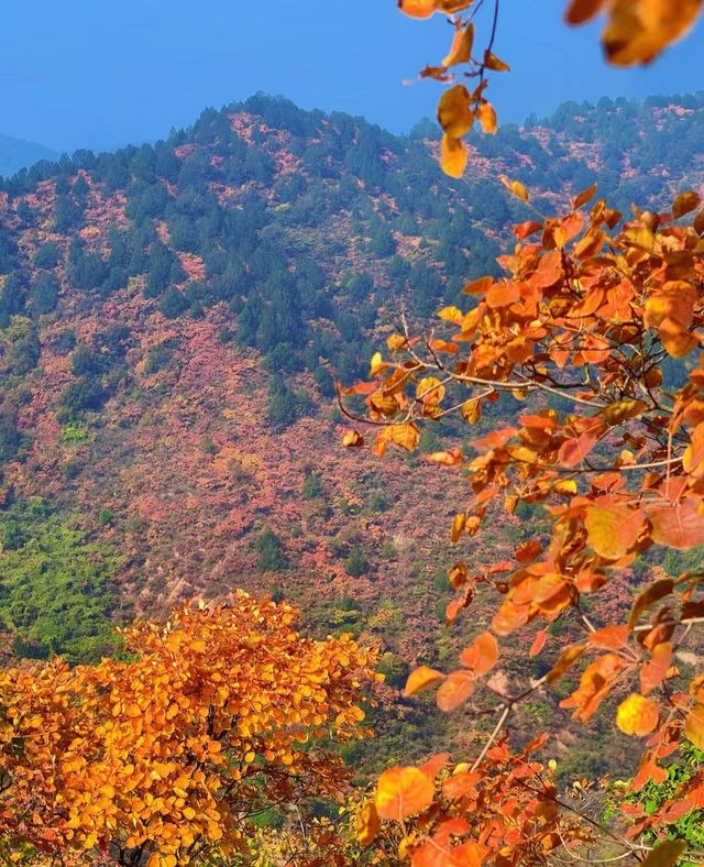 稷山酒店賓館是每位到稷山旅遊或出差的朋友都不容錯過的優質住宿 稷山酒店賓館是每位到稷山旅遊或出差的朋友都不容錯過的優質住宿