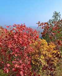 稷山附近旅遊去哪裡好玩