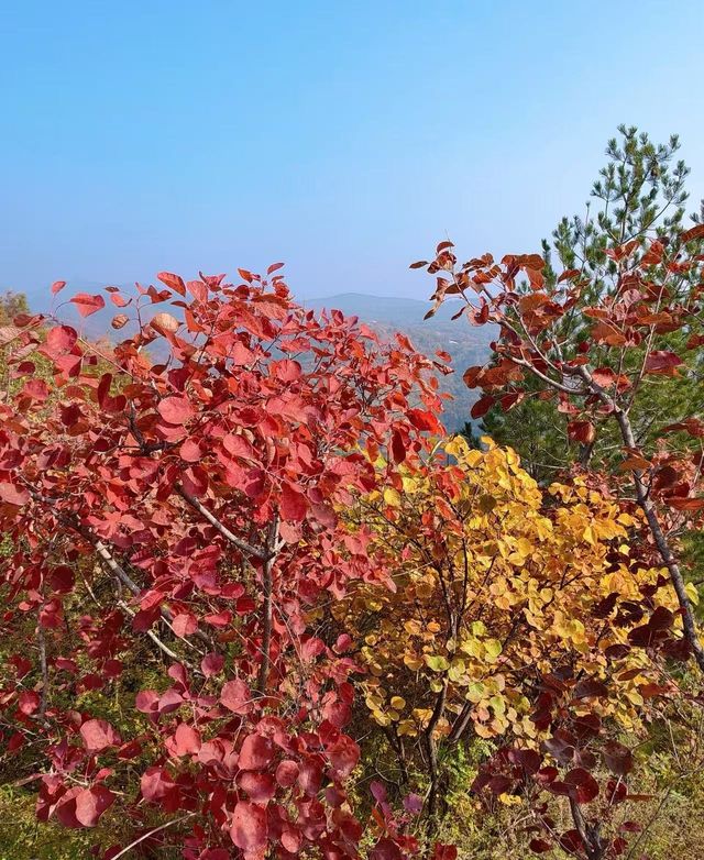 稷山附近旅遊去哪裡好玩 稷山附近旅遊去哪裡好玩