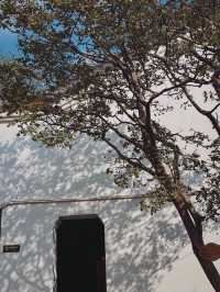 黃岡寶藏公園！不是蘇軾粉絲也淪陷了！東坡赤壁超全攻略