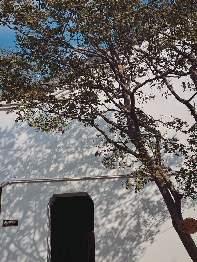 黃岡寶藏公園！不是蘇軾粉絲也淪陷了！東坡赤壁超全攻略