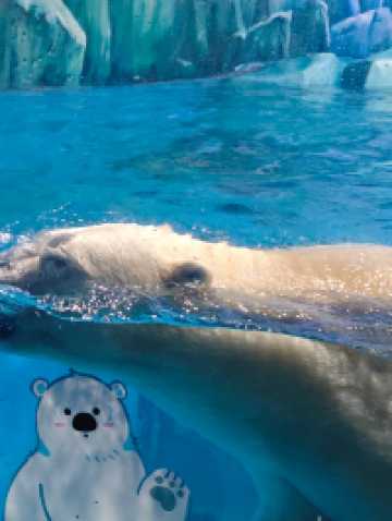 深圳海底世界必打卡~小梅沙海洋館