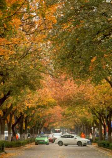 還得是西安的小香港啊!紡正街