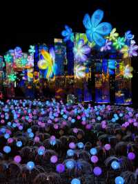 廈門夜遊頂流！園博苑花燈每週末限定浪漫