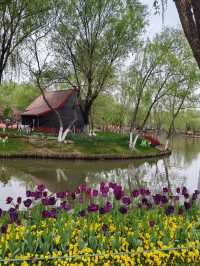 【南京綠博園大揭秘！你不知道的隱藏寶藏，絕對讓你驚喜連連！】 大家好，我是你們的旅遊探秘小達人