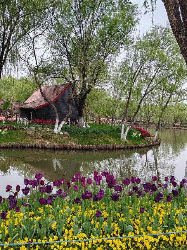 【南京綠博園大揭秘！你不知道的隱藏寶藏，絕對讓你驚喜連連！】 大家好，我是你們的旅遊探秘小達人