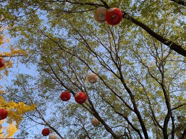 Tang Paradise: A Must-See Day & Night Experience in Xi'an