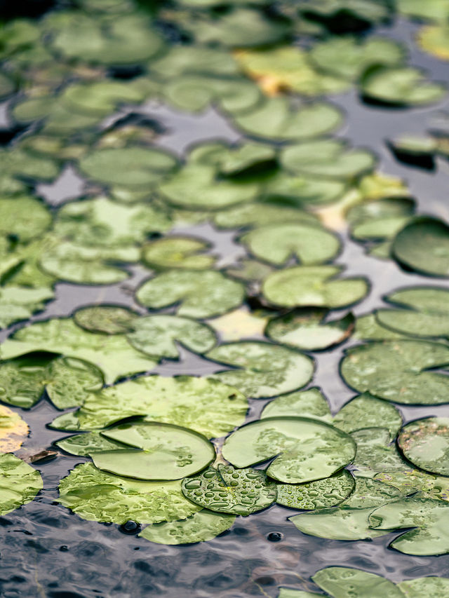 Hong Kong Photo Secrets: 6 Hidden Gems to WOW Everyone! Hong Kong Photo Secrets: 6 Hidden Gems to WOW Everyone!