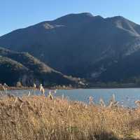  🍂 핑구 징하이호 '산에서 호수로' 당일치기 여행