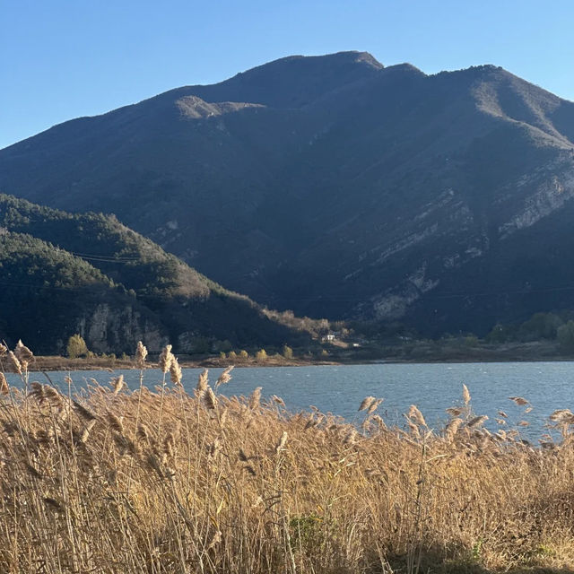  🍂 핑구 징하이호 '산에서 호수로' 당일치기 여행