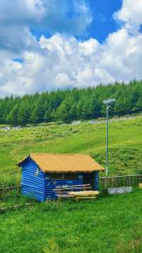 天水張家川平安草園：一場心靈與自然的完美邂逅