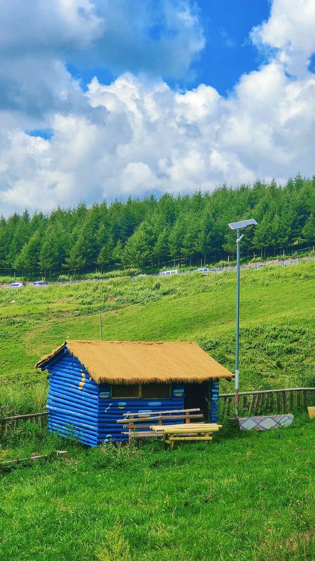 天水張家川平安草園：一場心靈與自然的完美邂逅