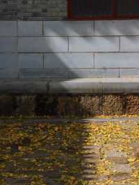 赴一場千年之約享避世之地的絕美秋色