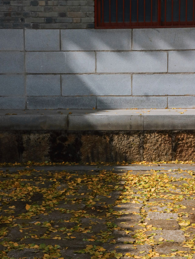 赴一場千年之約享避世之地的絕美秋色