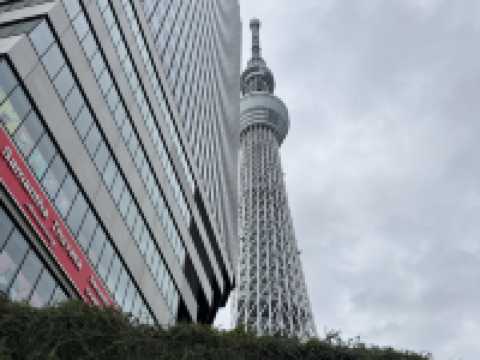 Disney themed Skytree! You can’t beat the views and the cuteness 🤩 👽  🗼 