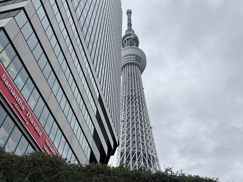 Disney themed Skytree! You can’t beat the views and the cuteness 🤩 👽  🗼 