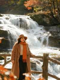 川西親子慢遊彩林溫泉+畢棚溝徒步超讚