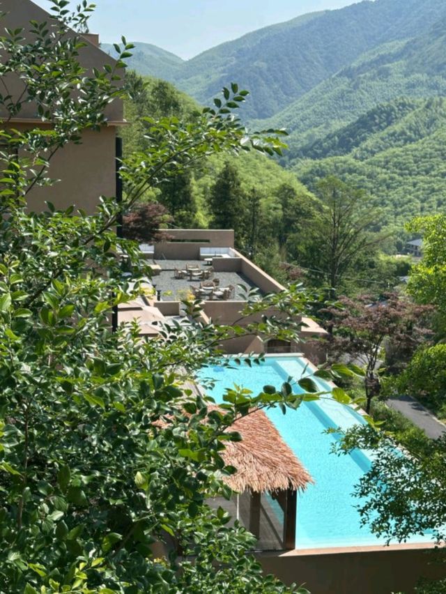 竹林秘境裡的侘寂溫泉美學 竹林秘境裡的侘寂溫泉美學