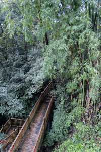青城山避世神店私湯泡著看山霧