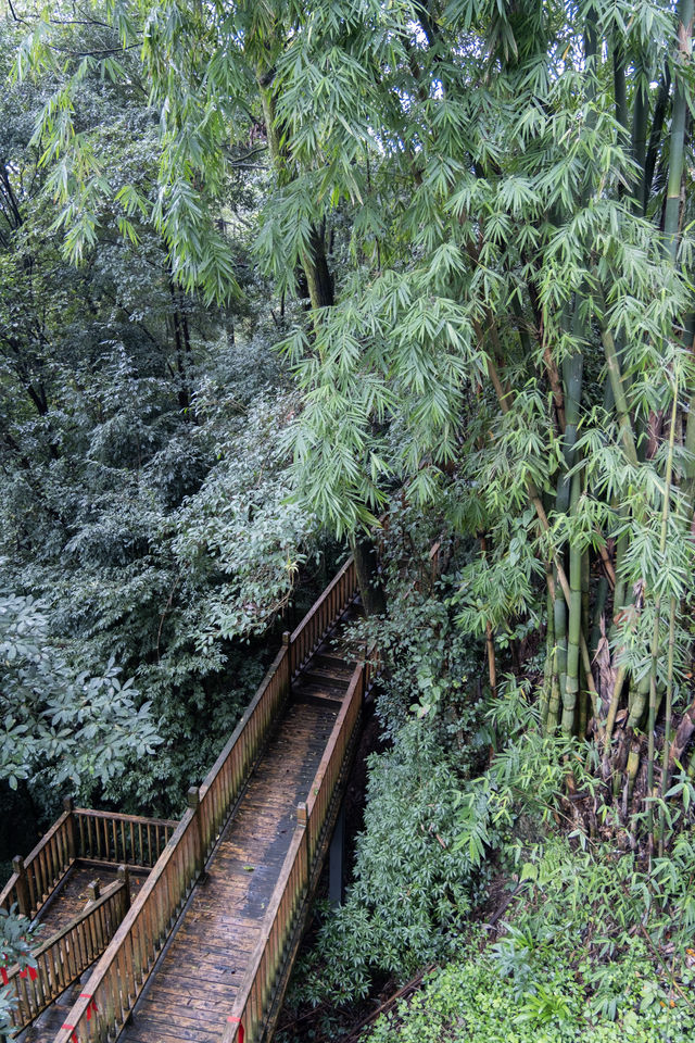 青城山避世神店私湯泡著看山霧