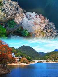 一開車門美到失語衢州這個秋日秘境原地封神