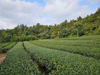 Exceptional Butler Service & Memorable Activities