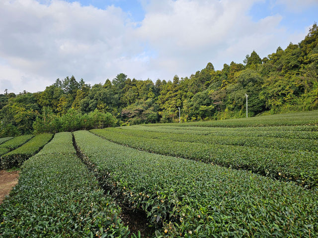 Exceptional Butler Service & Memorable Activities Exceptional Butler Service & Memorable Activities