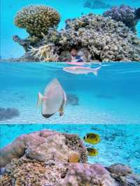 海島界的愛馬仕！波拉波拉島5天4晚擺爛攻略，躺平都能美出片