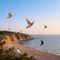 來北戴河開啟一場浪漫的海濱之旅吧