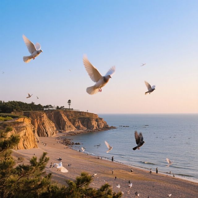 來北戴河開啟一場浪漫的海濱之旅吧