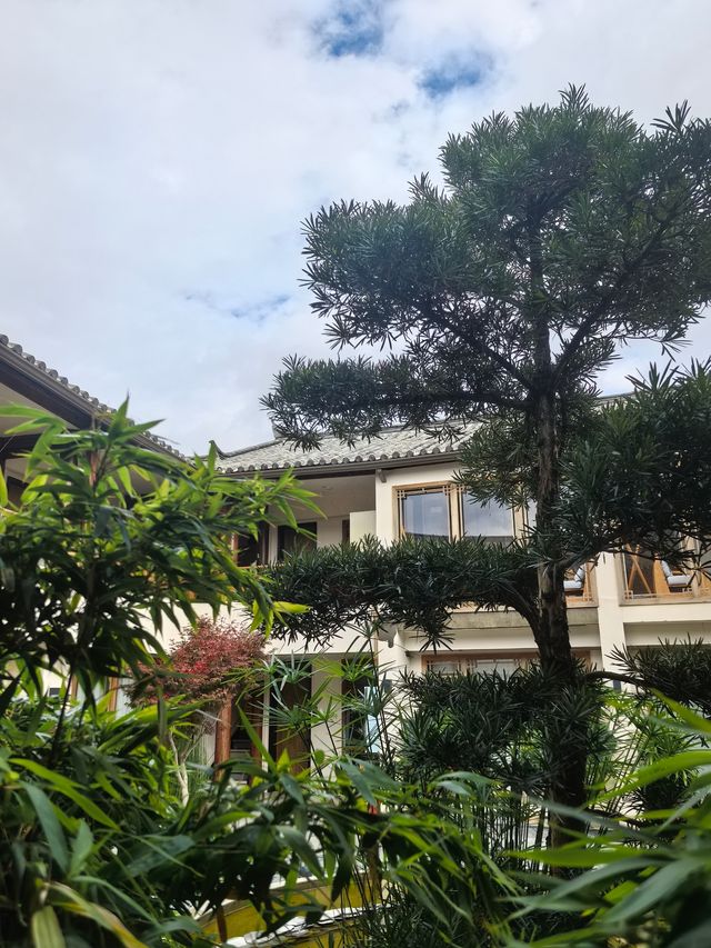 麗江又下雪了，冬日裡的樸致更溫暖。