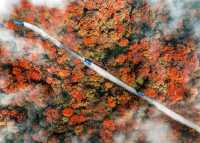 峨眉山景區直通車上線，酒店直達雷洞坪車站